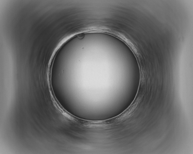 X0000116371486200912091227