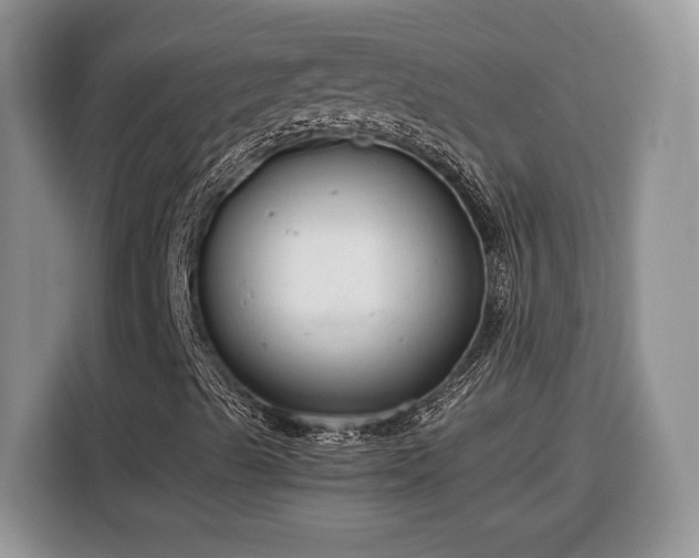 X0000116371489200912091227
