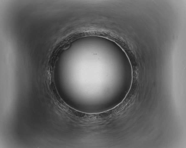 X0000116371493200912091227