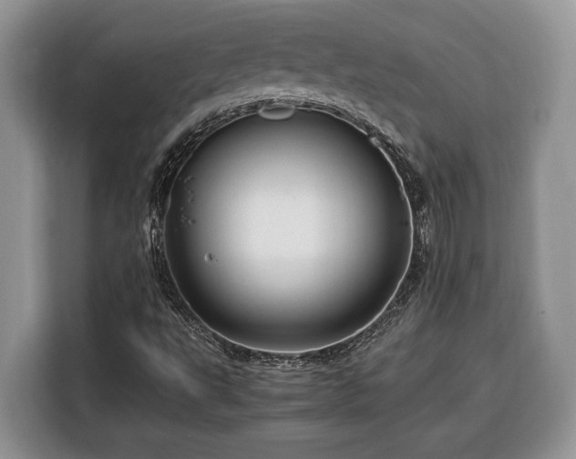 X0000116371495200912091227