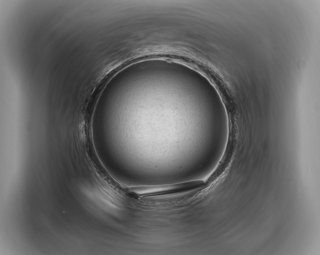X0000116371497200912091227