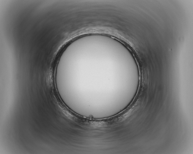 X0000116371498200912091227