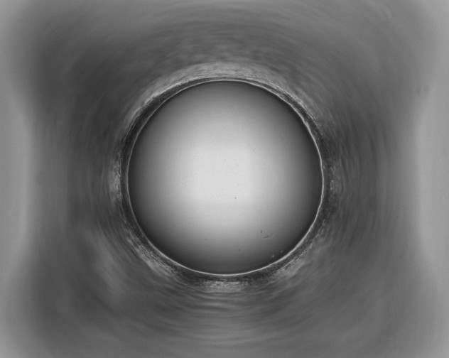 X0000116371499200912091227
