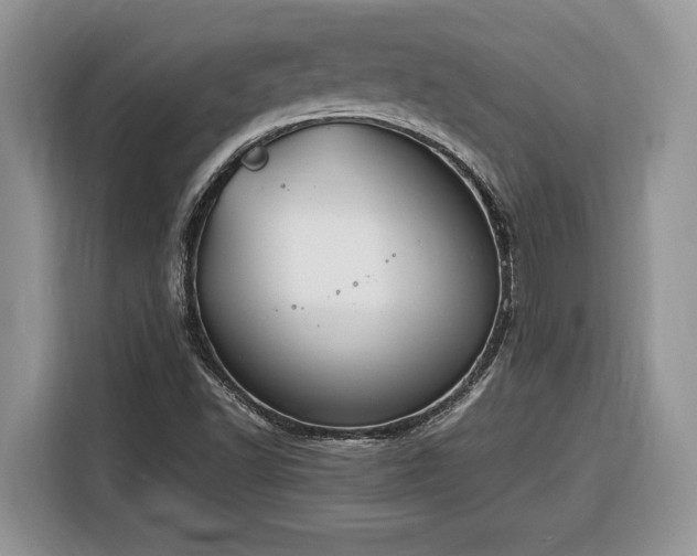 X0000116371502200912091227