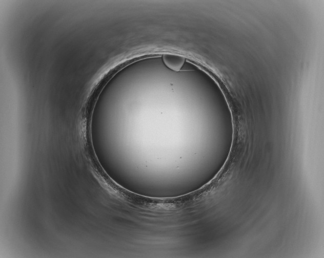 X0000116371503200912091227