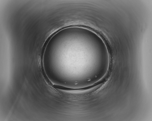 X0000116371505200912091227