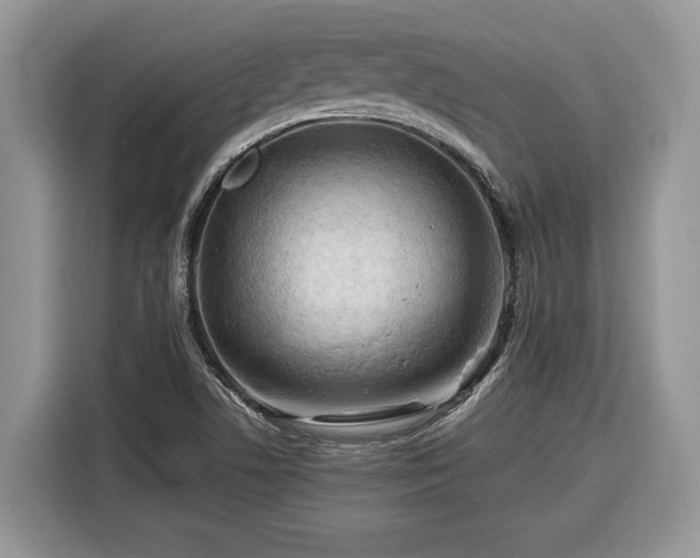 X0000116371506200912091227