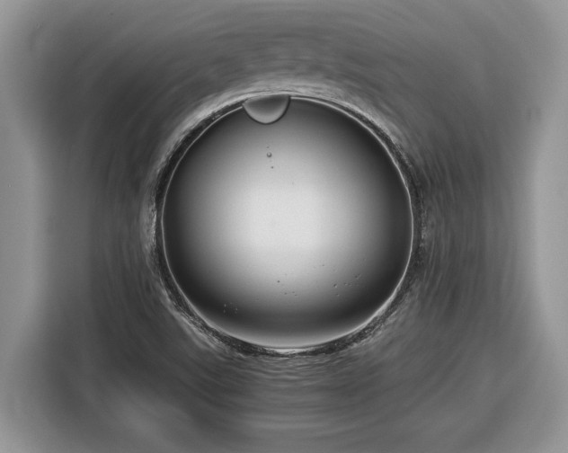 X0000116371507200912091227