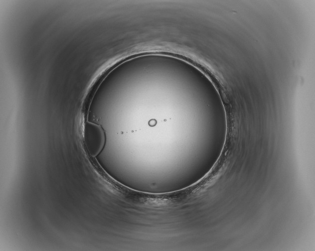 X0000116371509200912091227