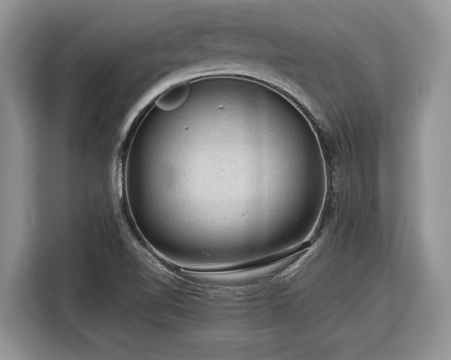 X0000116371510200912091227