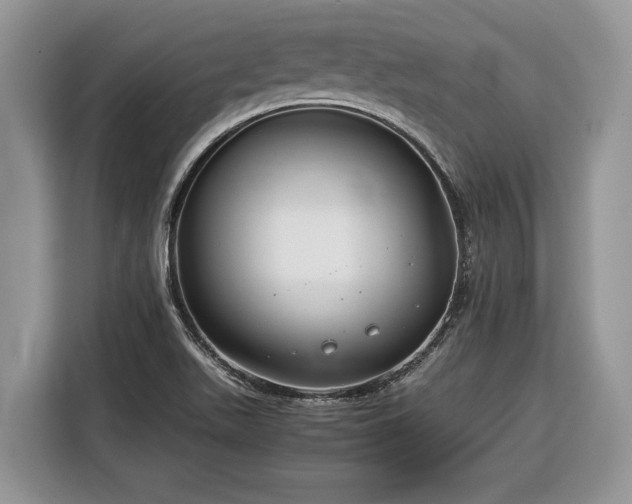 X0000116371511200912091227