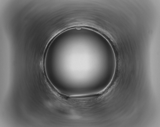 X0000116371513200912091227