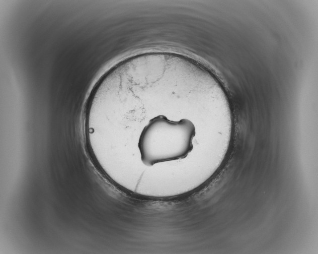 X0000116371514200912091227