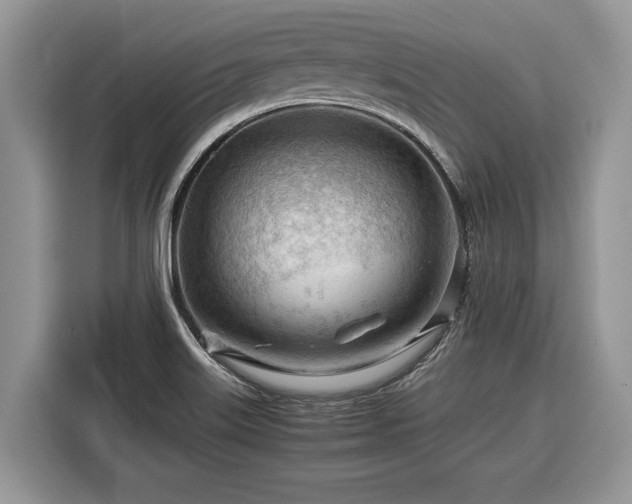 X0000116371515200912091227