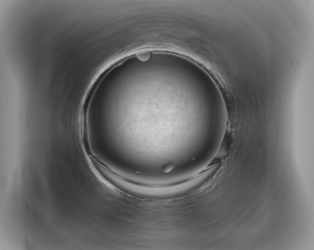 X0000116371519200912091227
