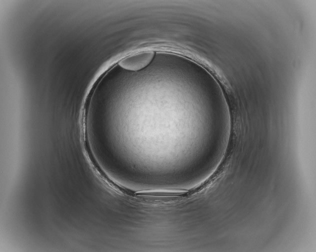 X0000116371522200912091227