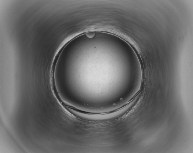 X0000116371525200912091227