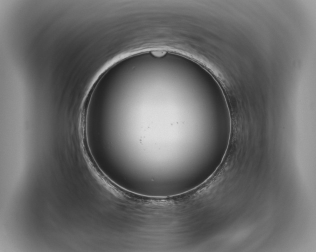 X0000116371526200912091227