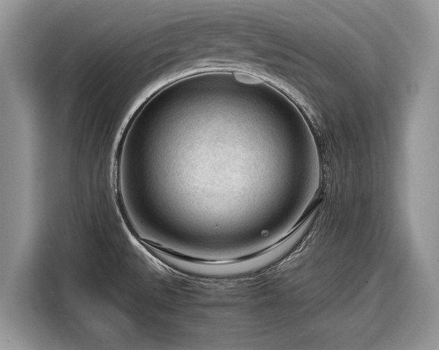 X0000116371527200912091227