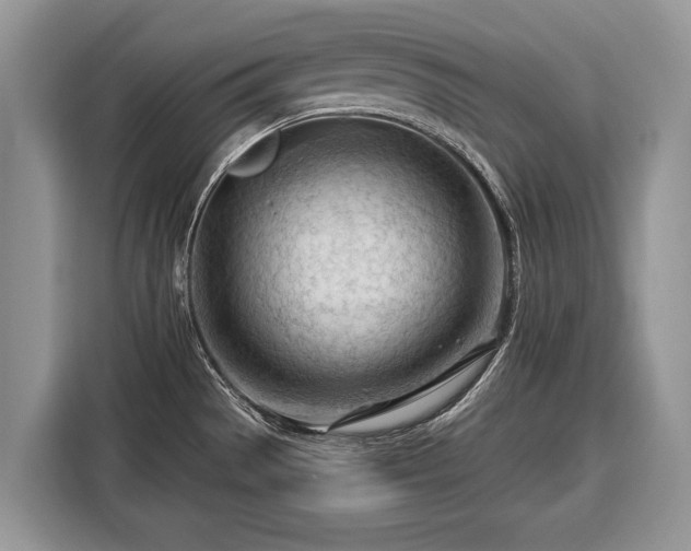 X0000116371529200912091227