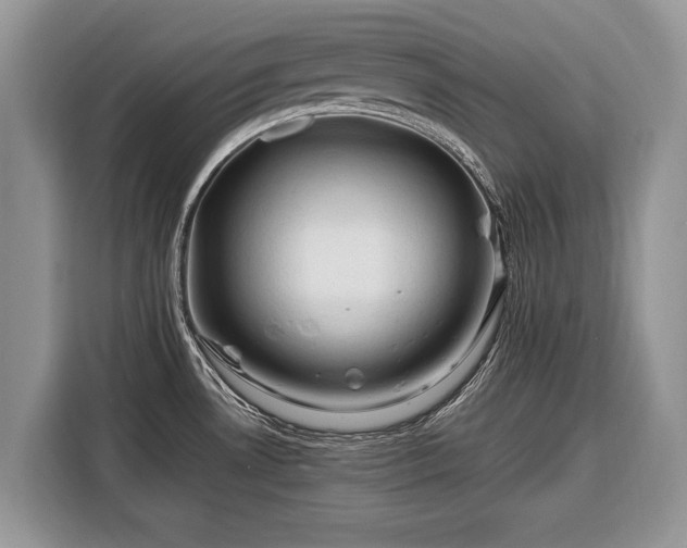 X0000116371530200912091227