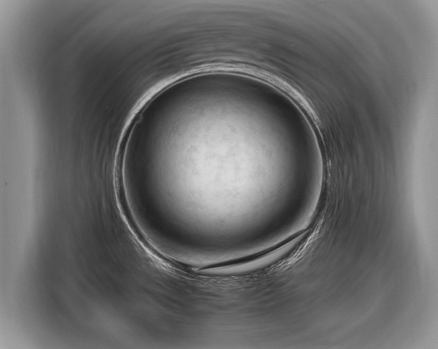 X0000116371533200912091227