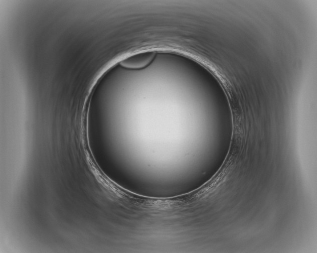 X0000116371534200912091227