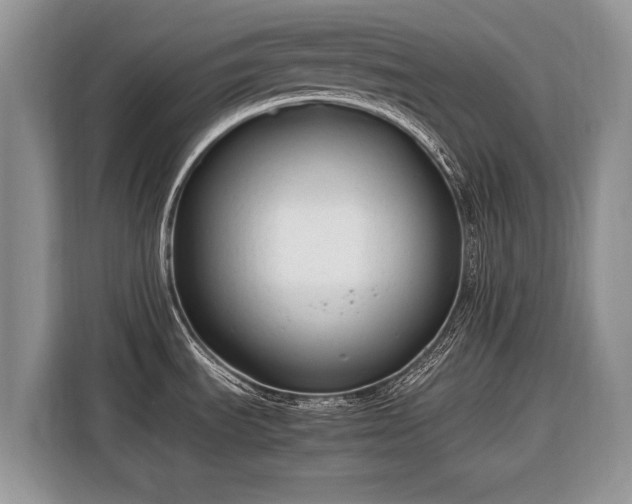 X0000116371535200912091227