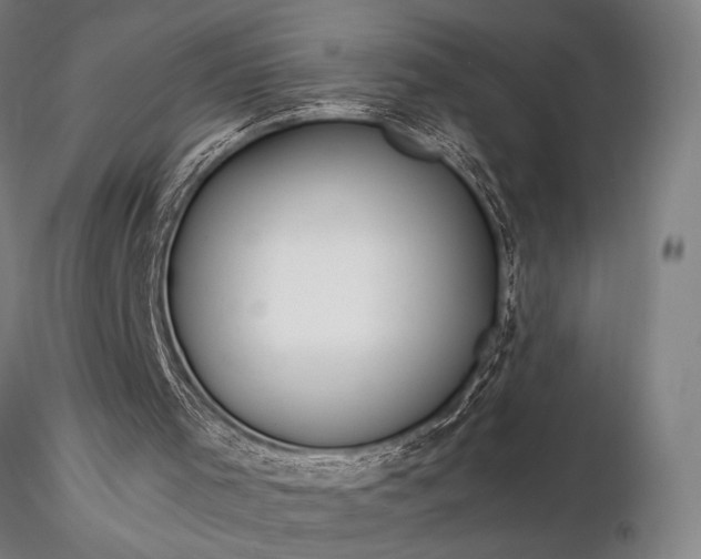 X0000116370001200912161449