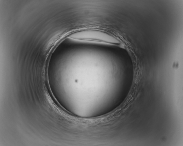 X0000116370002200912161449