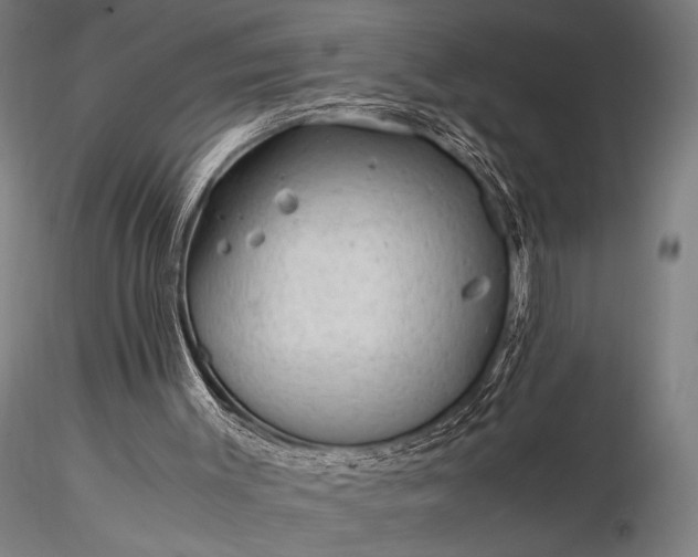 X0000116370003200912161448