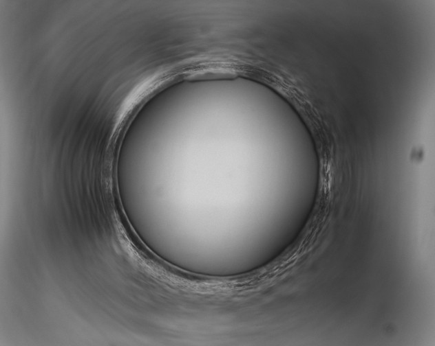 X0000116370004200912161448