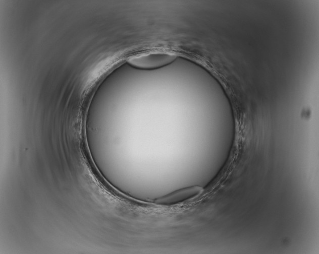 X0000116370005200912161448