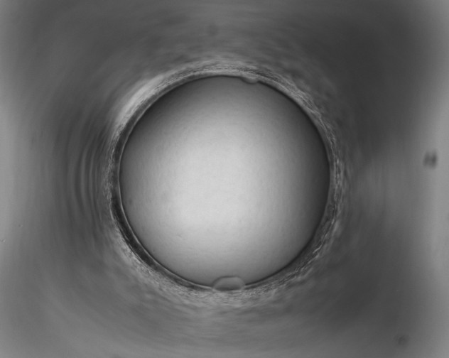 X0000116370007200912161448