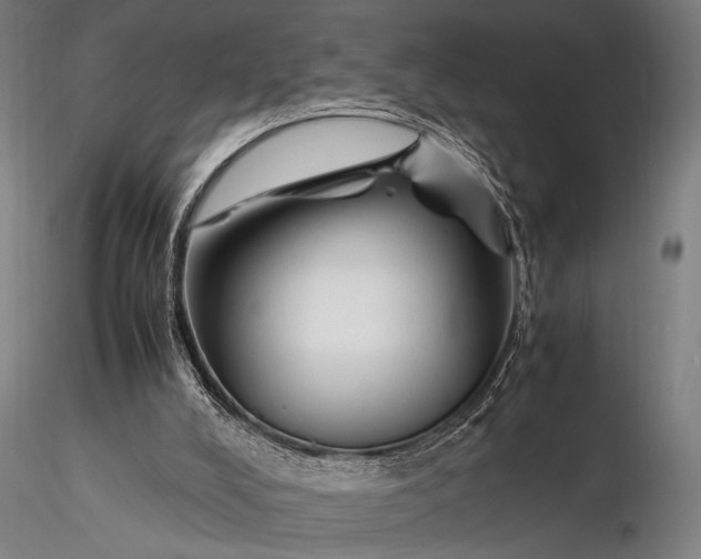 X0000116370008200912161448