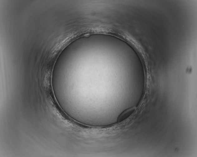 X0000116370009200912161448