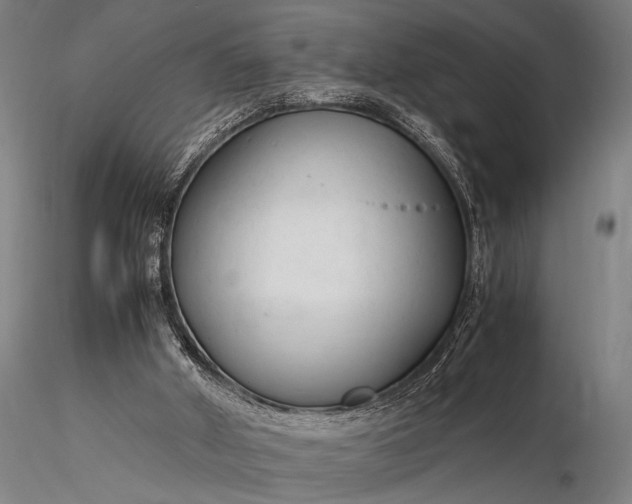 X0000116370010200912161448