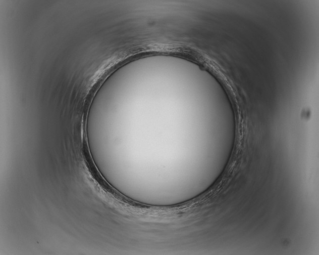 X0000116370011200912161448