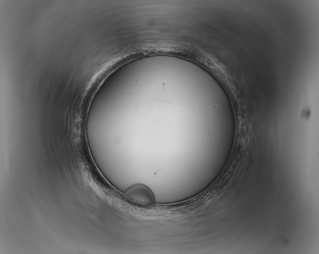 X0000116370012200912161448