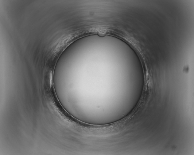 X0000116370013200912161448