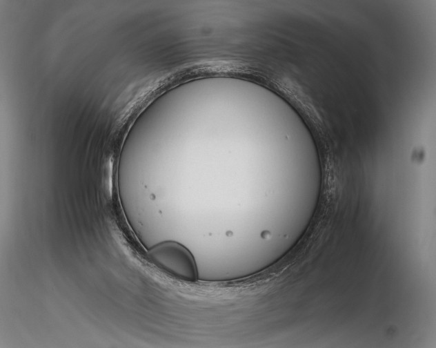 X0000116370014200912161448