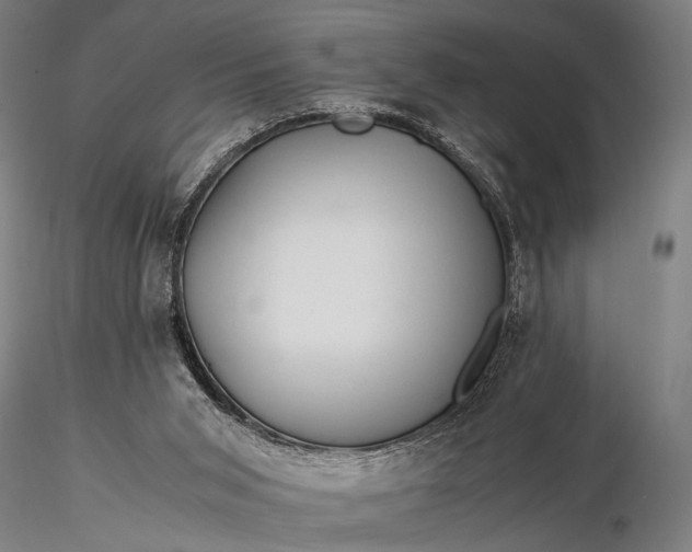 X0000116370015200912161448