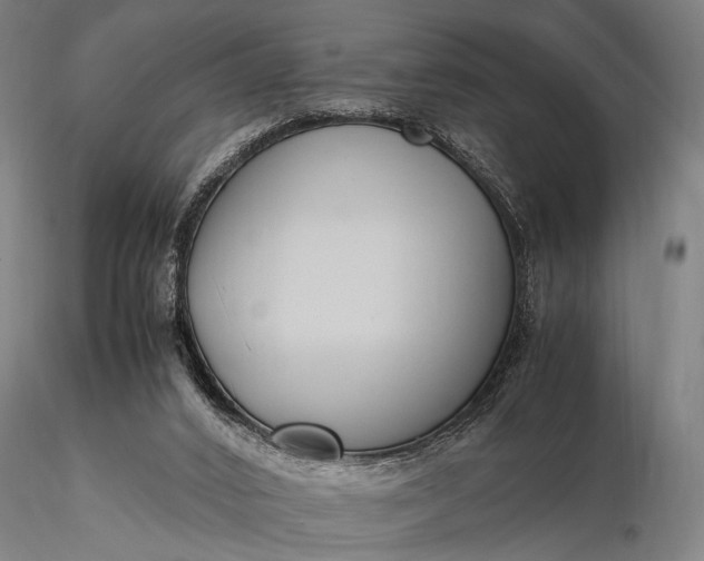 X0000116370016200912161448