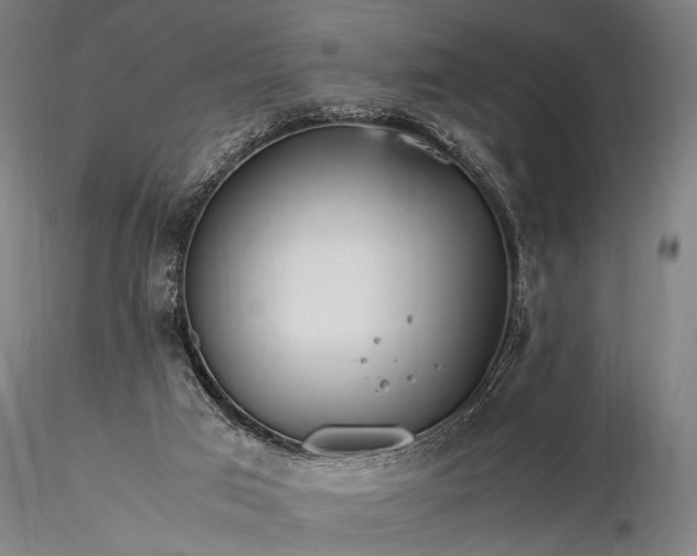 X0000116370017200912161448