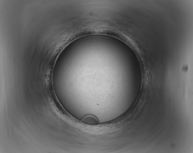 X0000116370018200912161448