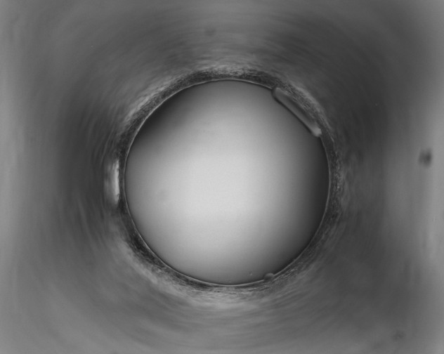 X0000116370020200912161448