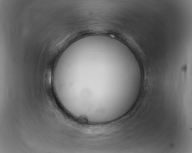 X0000116370021200912161448