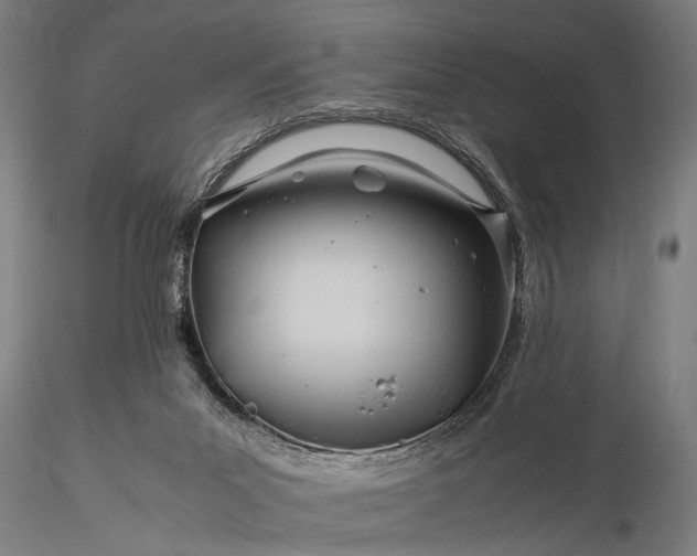 X0000116370023200912161448