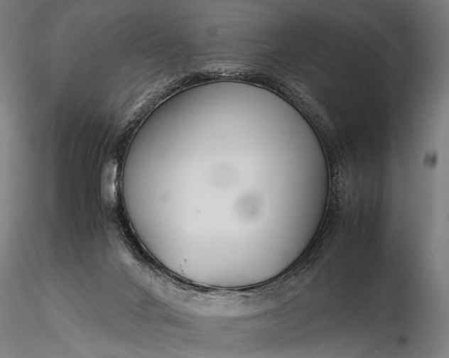 X0000116370024200912161448