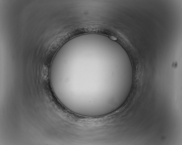 X0000116370025200912161448